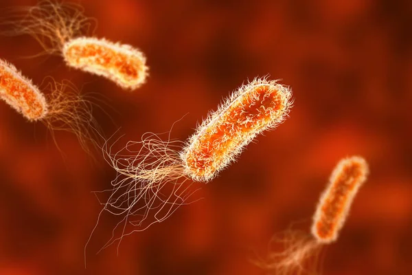 Bakterie Pseudomonas Bakterie Gram Ujemne Często Związane Zakażeniami Związanymi Opieką — Zdjęcie stockowe