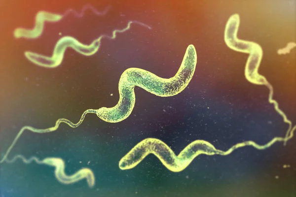 Campylobacterbakterier Illustration Gramnegativa Spiralformade Bakterier Campylobacter Jejuni Och Coli Orsakar — Stockfoto