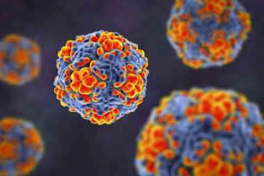 Eko virüsleri, 3 boyutlu illüstrasyon, Enterovirüs cinsinden solunum ve gastrointestinal enfeksiyonlar da dahil olmak üzere çeşitli hastalıklara yol açtığı bilinen bir grup küçük, tek iplikli RNA virüsü..