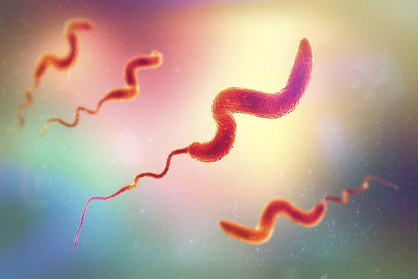 Bactérias Campylobacter Ilustração Bactérias Gram Negativas Forma Espiral Campylobacter Jejuni — Fotografia de Stock