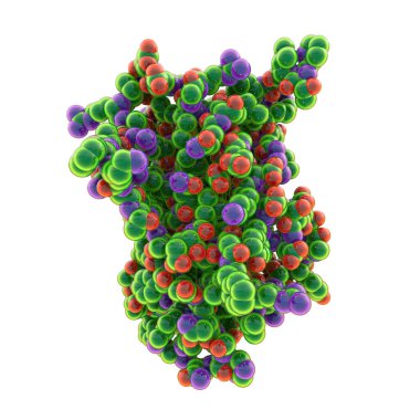 İnsan büyüme hormonu molekülü (hGH, Somatotropin), 3 boyutlu illüstrasyon. Doğal hormon hem ilaç hem de doping aracı olarak kullanılır..