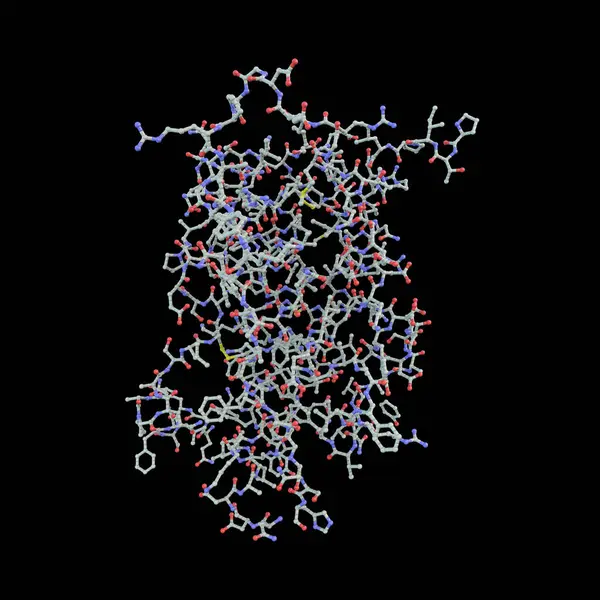 Human Growth Hormone Molecule Hgh Somatotropin Illustration Natural Hormone Used — Stock Photo, Image
