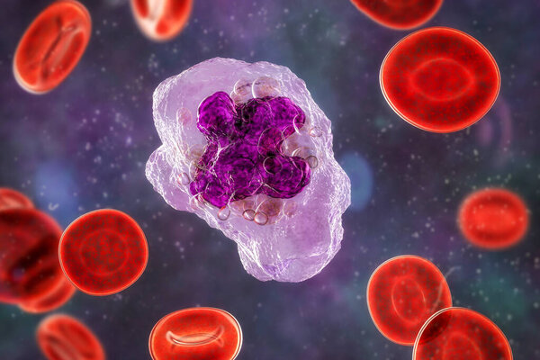 Замысловатая трехмерная иллюстрация, демонстрирующая внутреннюю структуру макрофага, раскрывающая его жизненно важные компоненты и функции.