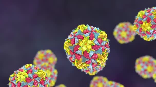 Animasi Dinamis Yang Menampilkan Poliovirus Mengambang Menggambarkan Sifat Menular Virus — Stok Video