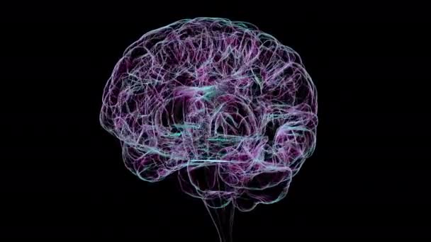 360 Derece Dönen Insan Beyninin Anatomik Yapısını Gösteren Boyutlu Animasyon — Stok video