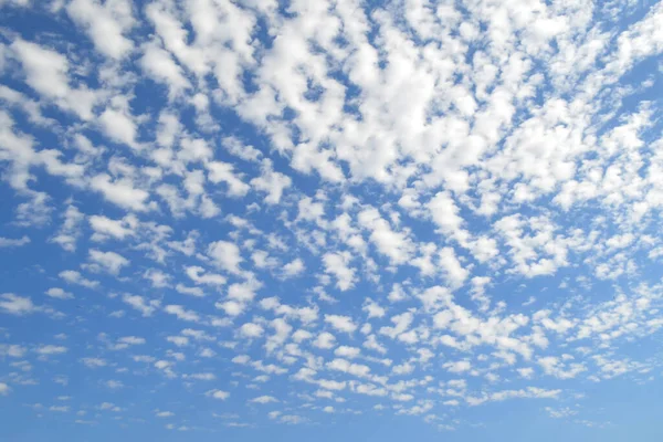 Захватывающая Фотография Запечатлевшая Необъятное Голубое Небо Украшенное Многочисленными Пушистыми Белыми — стоковое фото
