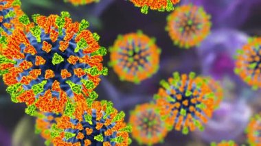 Kızamık virüsü. 3 boyutlu animasyon kızamık virüslerini gösteriyor yüzey glycoprotein artışları heamagglutinin-neuraminidase turuncu ve füzyon proteini siyah zemin üzerinde yeşil