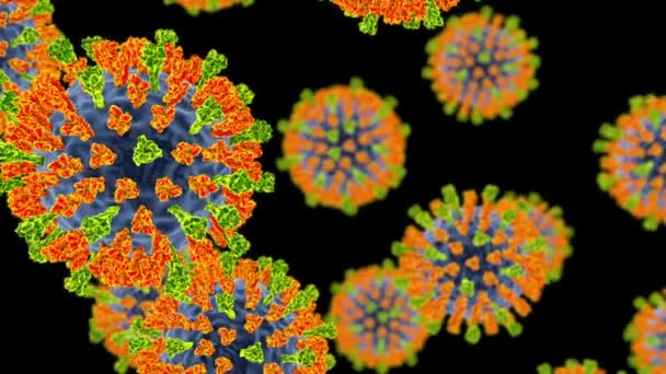 麻疹ウイルス 表面グリコプテインが付いている麻疹ウイルスを示す3Dアニメーションは黒い背景のヒマグロチン アミノ酸ゼおよび融合タンパク質緑をスパイクします — ストック動画
