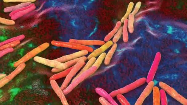 Bakteri Mycobacterium Tuberculosis Agen Penyebab Tuberkulosis Animasi — Stok Video