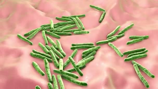 Bakteri Mycobacterium Tuberculosis Tüberkülozun Nedensel Maddesi Boyutlu Animasyon — Stok video