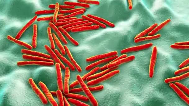 Бактерии Mycobacterium Tuberculosis Возбудитель Туберкулеза Анимация — стоковое видео