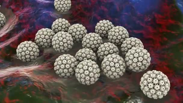 Humant Papillomvirus Ett Virus Som Orsakar Vårtor Vissa Stammar Infekterar — Stockvideo