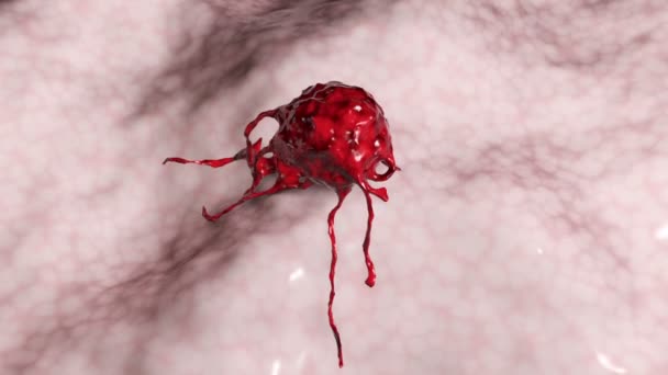 Розвиток Інвазивного Раку Анімація Показує Вторгнення Пухлини Навколишні Підкреслені Тканини — стокове відео