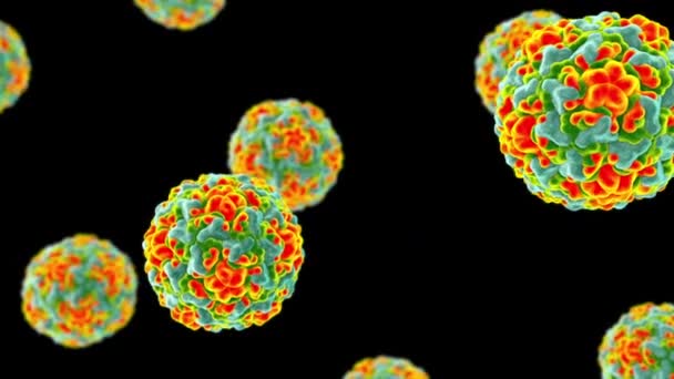 Rhinoviren Viren Die Schnupfen Und Erkältungen Verursachen Animation — Stockvideo