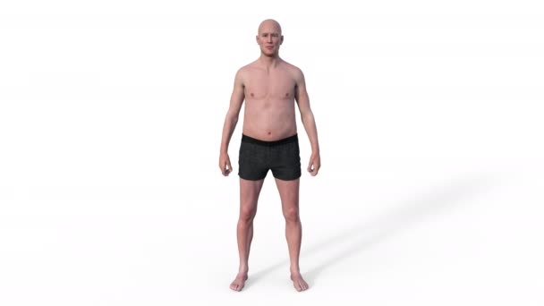 Animering Visar Kroppsomvandling Från Tunn Till Muskulös Främja Fördelarna Med — Stockvideo