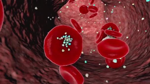 红细胞与血液中的塑料微粒相互作用 3D动画 通过摄入 吸入或吸收进入血液后粒子的运动和沉积 — 图库视频影像