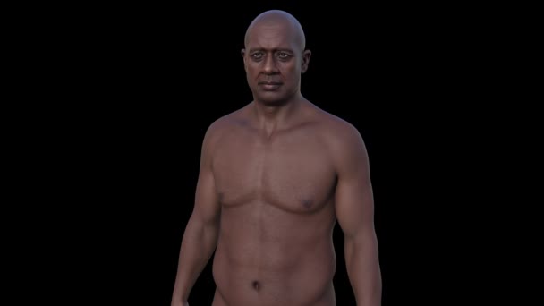 中年のアフリカ人男性の上半分を描いた3Dフォトリアリスティックアニメーションは 体の複雑な詳細を明らかにします — ストック動画