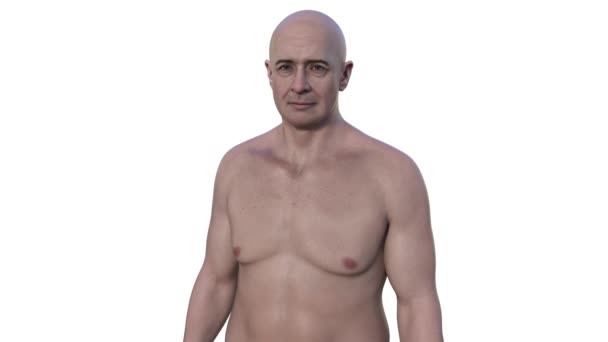 中年男性の上半身を描いた3Dフォトリアリスティックアニメーションは 体の複雑な詳細を明らかにします — ストック動画