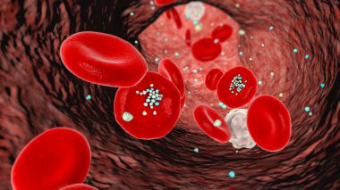 Kandaki plastik mikro parçacıklarla eritrosit etkileşimi. 3 boyutlu illüstrasyon, parçacıkların kan dolaşımına girdikten sonra mideye indirme, soluma ya da soğurma yoluyla hareket ettiğini gösteriyor..