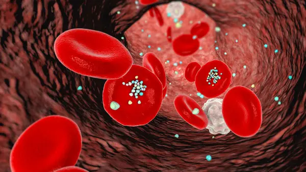 Erythrocyte Interaction Plastic Microparticles Blood Illustration Showing Particles Movement Deposition — Stock Photo, Image