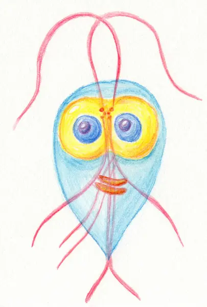 Barevné Tužky Ručně Kreslené Ilustrace Giardia Intestinalis Protozoan Zobrazující Jeho Stock Fotografie