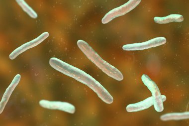 Tüberküloza neden olan bakteri olan Mycobacterium tüberkülozun 3 boyutlu çizimi.