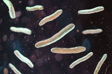 Tüberküloza neden olan bakteri olan Mycobacterium tüberkülozun 3 boyutlu çizimi.