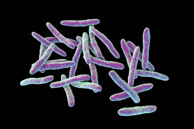 Tüberküloza neden olan bakteri olan Mycobacterium tüberkülozun 3 boyutlu çizimi.