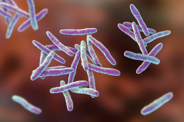 Tüberküloza neden olan bakteri olan Mycobacterium tüberkülozun 3 boyutlu çizimi.