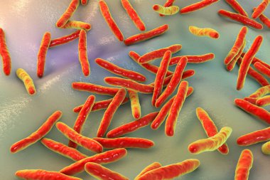 Tüberküloza neden olan bakteri olan Mycobacterium tüberkülozun 3 boyutlu çizimi.