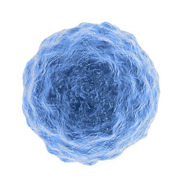 Bakteri kokusu, Staphylococcus aureus, veya MRSA beyaz arka planda izole edilmiş, 3D illüstrasyon