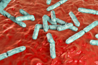 Bacteria Bifidobacterium, gram-positive anaerobic rod-shaped bacteria which are part of normal flora of human intestine are used as probiotics and in yoghurt production. 3D illustration clipart