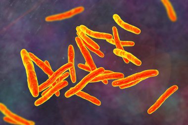 3D illustration of Mycobacterium tuberculosis, the bacteria responsible for causing tuberculosis. clipart