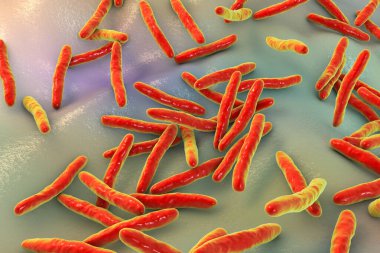 Tüberküloza neden olan bakteri olan Mycobacterium tüberkülozun 3 boyutlu çizimi.