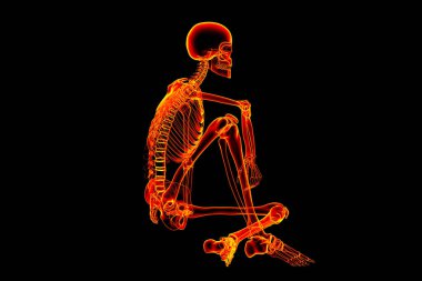 Renkli X-ray tarzında oturan bir insan iskeleti, siyah arka planda canlı renklere sahip detaylı iskelet anatomisini gösteren üç boyutlu çizim..