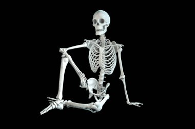 Renkli X-ray tarzında oturan bir insan iskeleti, siyah arka planda canlı renklere sahip detaylı iskelet anatomisini gösteren üç boyutlu çizim..