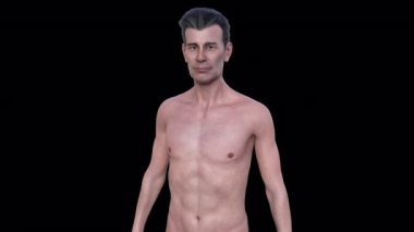 Orta yaşlı beyaz bir adamın 3 boyutlu animasyonu (40-50 yaş), ince yapılı, gri gözlü ve gri saçlı, hafifçe dönen, gerçekçi vücut ve yüz anatomisini gösteren.