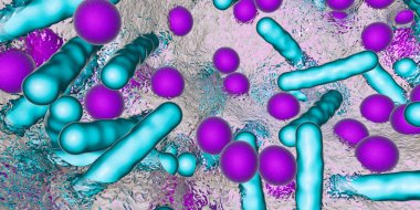 Antibiyotiğe dirençli bakterilerin biyofilmi. Çubuk şeklinde ve küresel bakteriler. Escherichia coli, Pseudomonas, Mycobacterium tuberculosis, Klebsiella, Staphylococcus aureus veya başka bir şey. 3B illüstrasyon