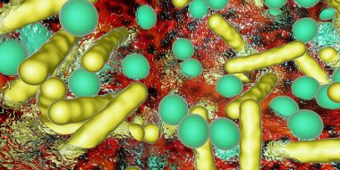 Biofilm of antibiotic resistant bacteria. Rod-shaped and spherical bacteria. Escherichia coli, Pseudomonas, Mycobacterium tuberculosis, Klebsiella, Staphylococcus aureus or other. 3D illustration clipart