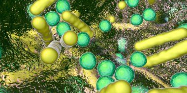 Biofilm of antibiotic resistant bacteria. Rod-shaped and spherical bacteria. Escherichia coli, Pseudomonas, Mycobacterium tuberculosis, Klebsiella, Staphylococcus aureus or other. 3D illustration clipart