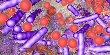 Antibiyotiğe dirençli bakterilerin biyofilmi. Çubuk şeklinde ve küresel bakteriler. Escherichia coli, Pseudomonas, Mycobacterium tuberculosis, Klebsiella, Staphylococcus aureus veya başka bir şey. 3B illüstrasyon