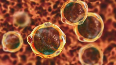 Blastosistis hominis parazit, 3 boyutlu illüstrasyon. İnsanlardaki ishal enfeksiyonlarının nedensel faktörü.