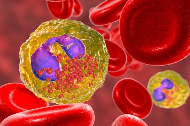 Kandaki Eozinophil, beyaz kan hücresi, üç boyutlu illüstrasyon. Eozinofiller alerji ve astıma, çok hücreli parazitlere karşı korunmaya katılan granülolitlerdir.