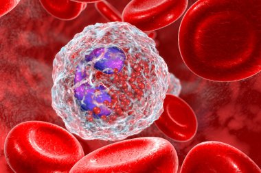 Kandaki Eozinophil, beyaz kan hücresi, üç boyutlu illüstrasyon. Eozinofiller alerji ve astıma, çok hücreli parazitlere karşı korunmaya katılan granülolitlerdir.