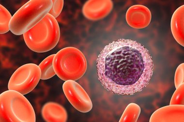 Kırmızı kan hücreleriyle çevrili lenfosit, 3 boyutlu illüstrasyon