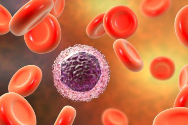 Kırmızı kan hücreleriyle çevrili lenfosit, 3 boyutlu illüstrasyon