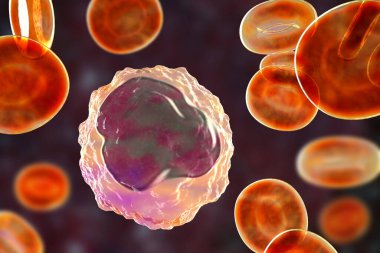 Monocyte surrounded by red blood cells, 3D illustration clipart