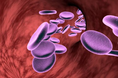 Kırmızı kan hücreli kan damarı, 3 boyutlu çizim.