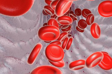 Kırmızı kan hücreli kan damarı, 3 boyutlu çizim.