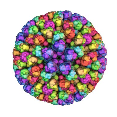 Bluetongue virüsü BTV, 3 boyutlu illüstrasyon. Midge Culicoides tarafından bulaşan bir virüs, geviş getiren hayvanlarda, çoğunlukla koyunlarda, humma ve şişmiş siyanotik dille karakterize edilen Bluetdil hastalığına neden olur.